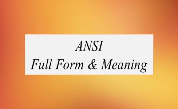 How to Use ANSI Full Form in Your Business